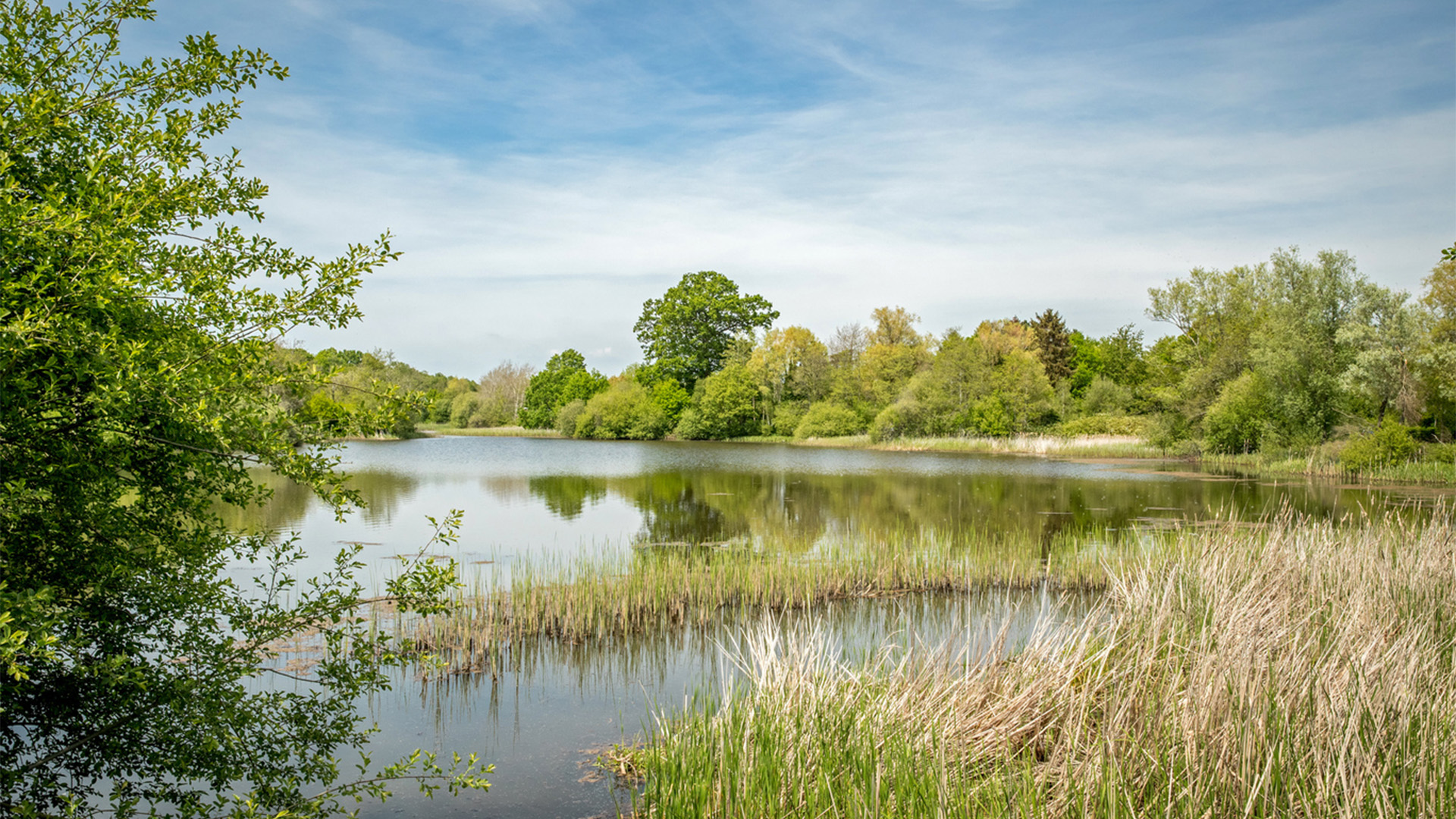 New Homes Fordingbridge Oakwood Grove, New Forest Hampshire | Pennyfarthing Homes