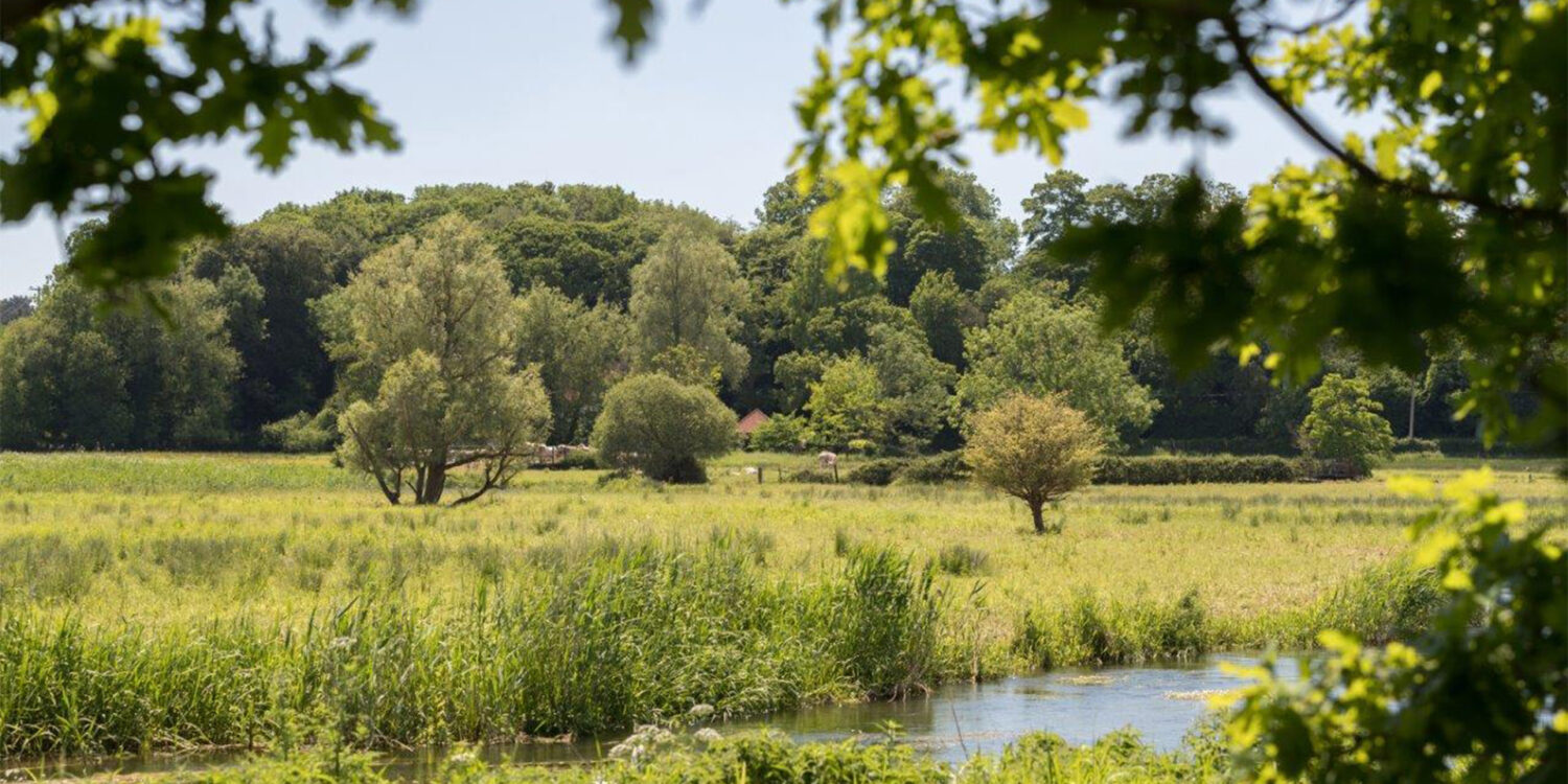 New Homes Fordingbridge, New Forest Hampshire | Pennyfarthing Homes