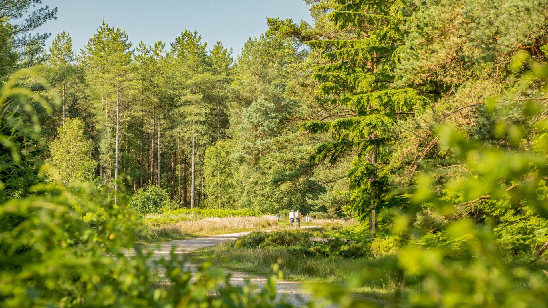 picture of Dean uses PX to upsize into dream Pennyfarthing Homes property