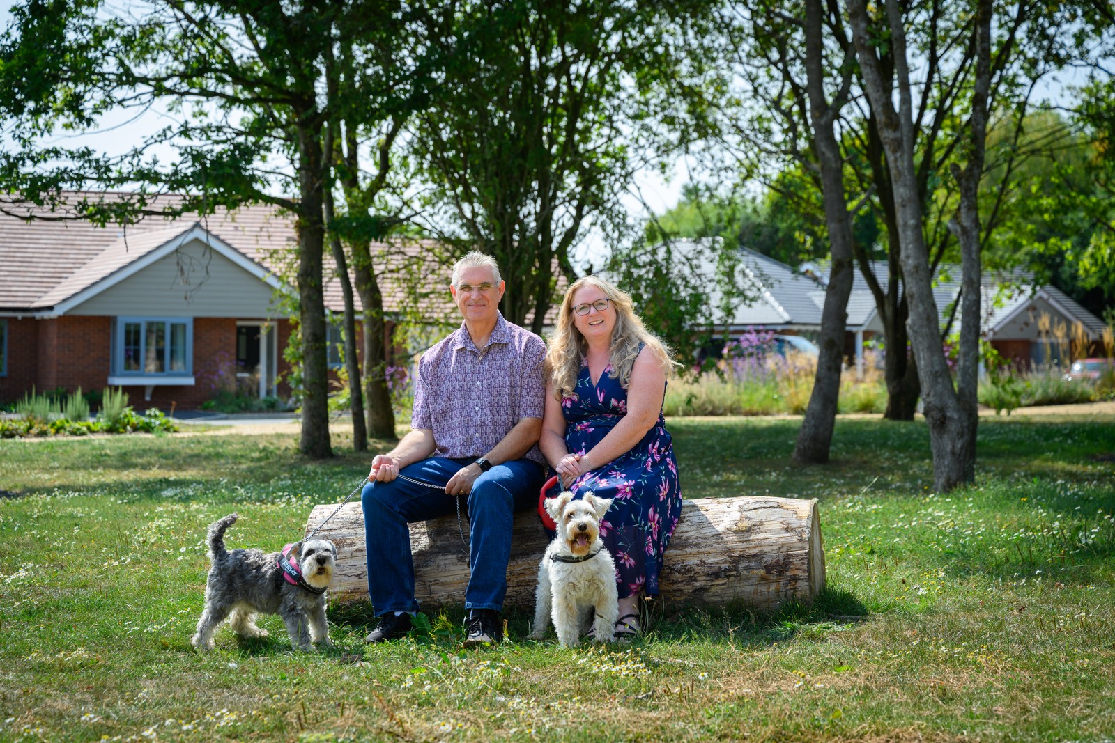 picture of The Downsizing Dream: Retirees Embrace a New Chapter in the New Forest