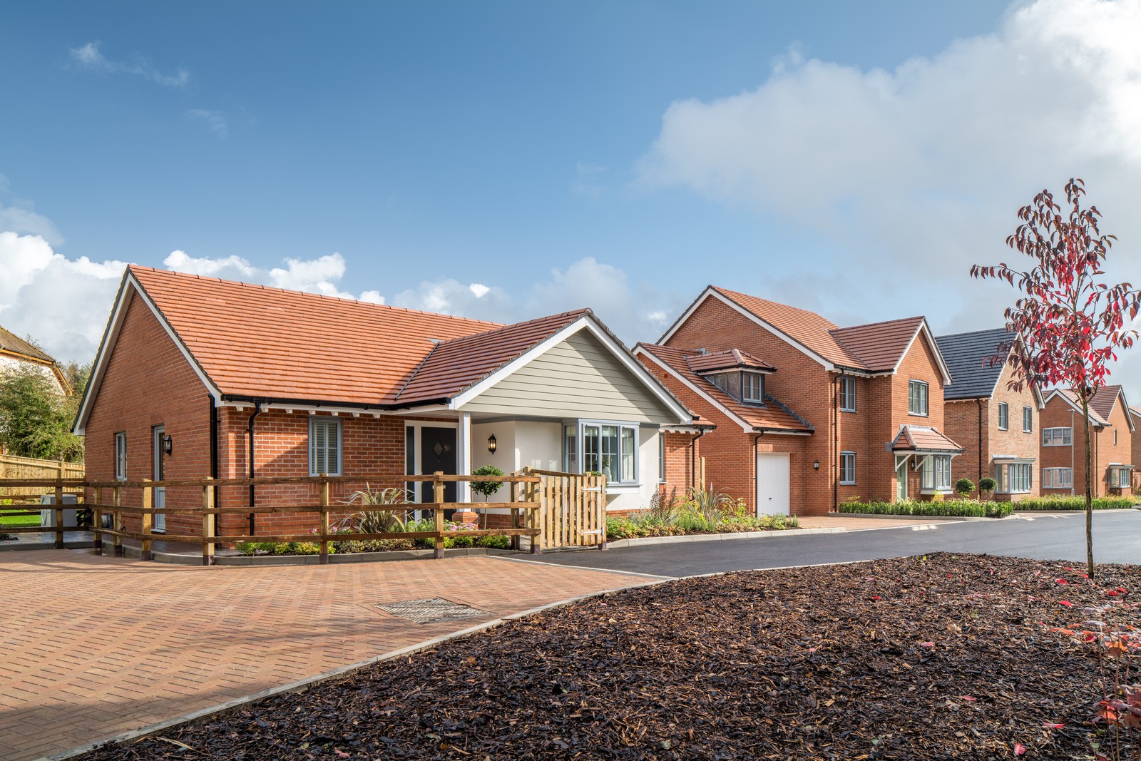 picture of Discover the Beauty of New Build Bungalows in Dorset & Hampshire